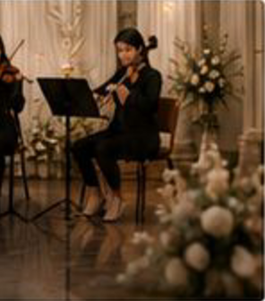String musician performing at a wedding